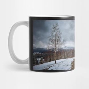 Road in the mountains Mug
